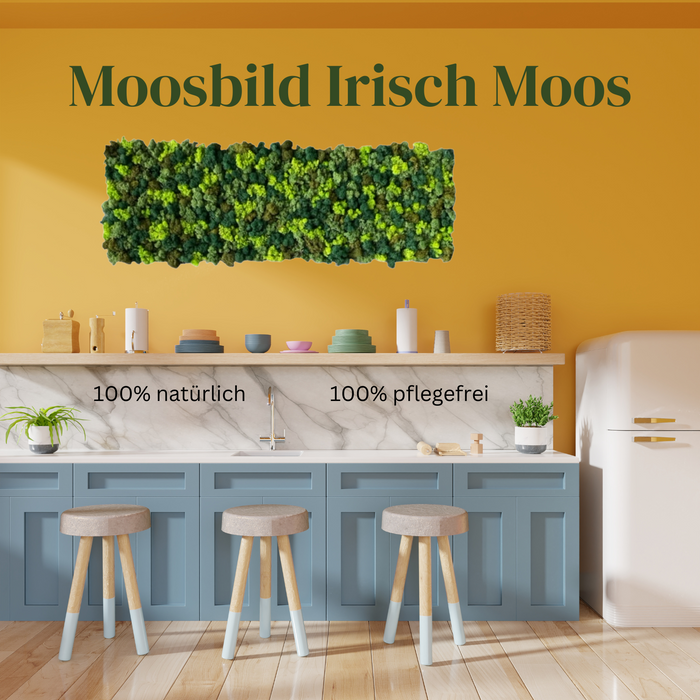 Moosbilder Irisch Moos