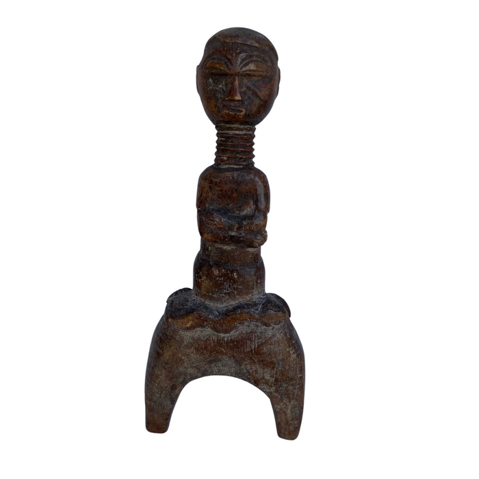 Afrikanische Steinschleuder