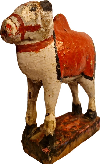 Original alte Nandi Kuh