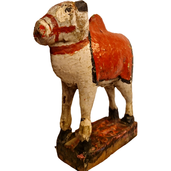 Original alte Nandi Kuh