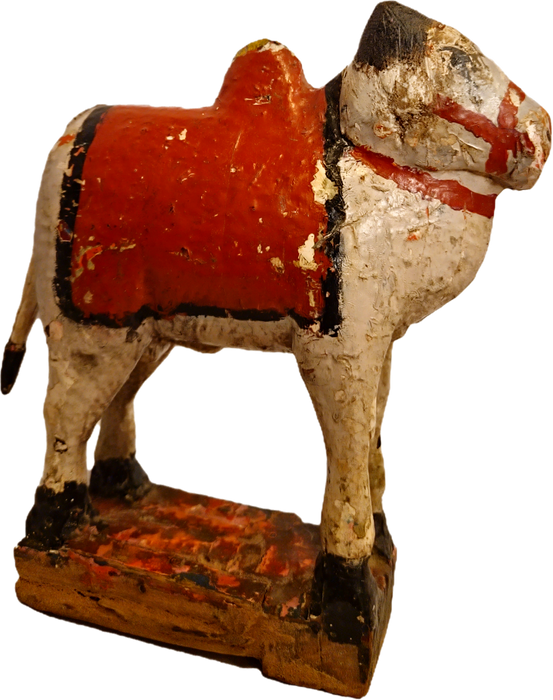 Original alte Nandi Kuh
