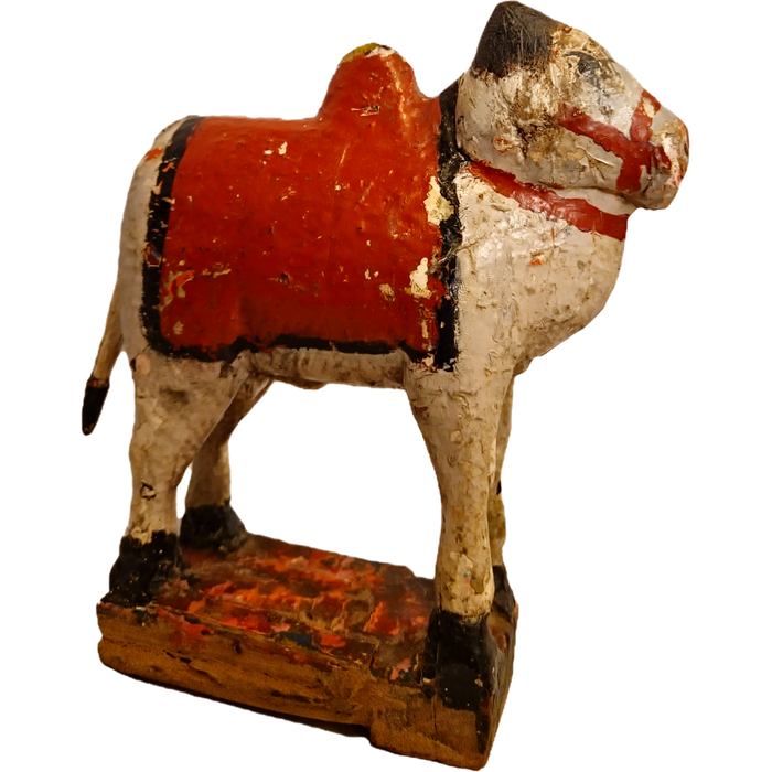 Original alte Nandi Kuh