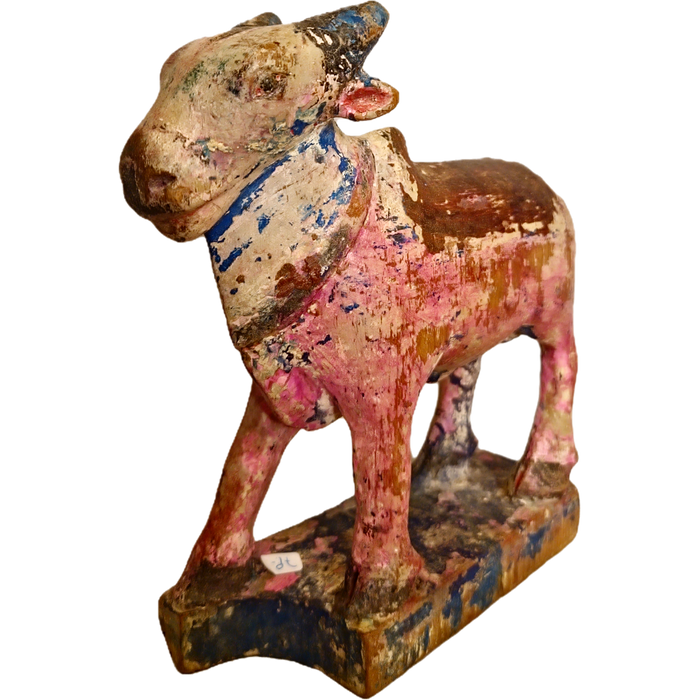 Original alte Nandi Kuh