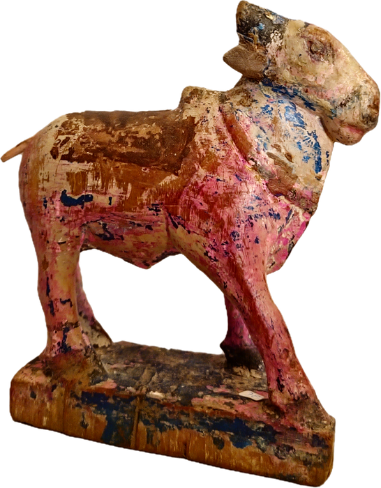 Original alte Nandi Kuh