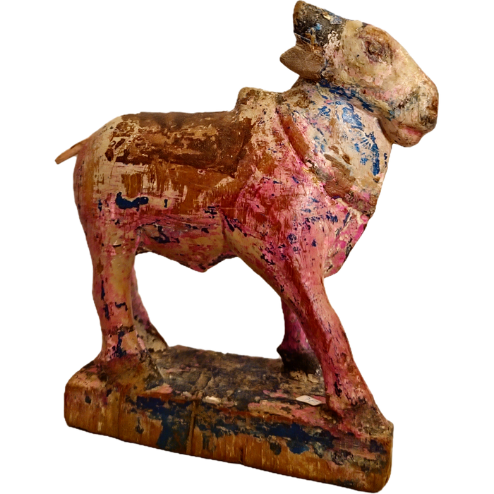 Original alte Nandi Kuh