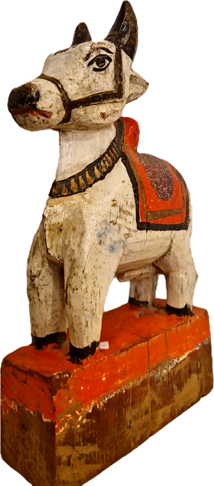 Original alte Nandi Kuh