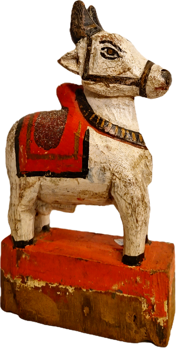 Original alte Nandi Kuh
