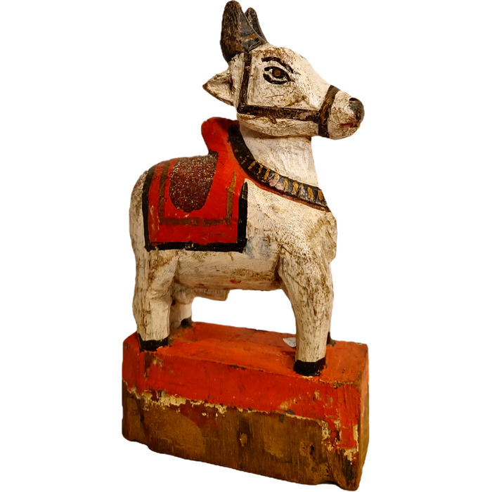 Original alte Nandi Kuh