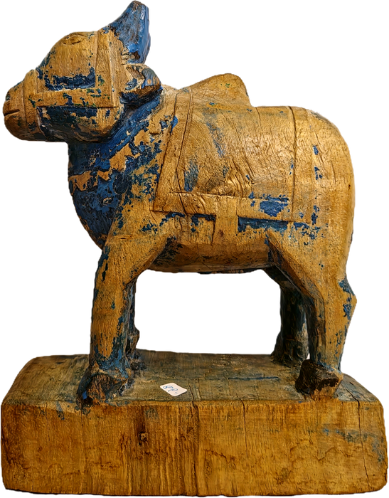 Original alte Nandi Kuh