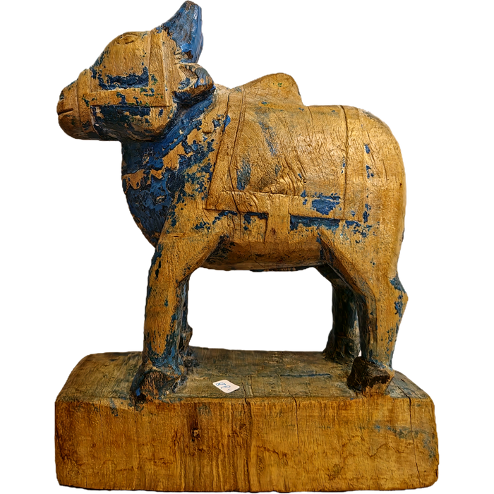 Original alte Nandi Kuh