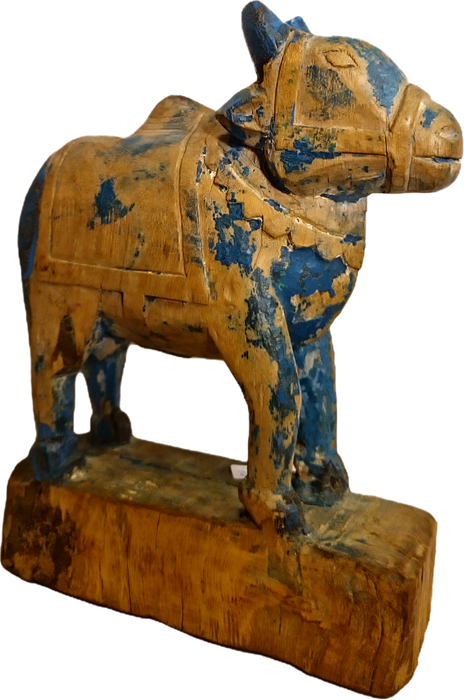 Original alte Nandi Kuh