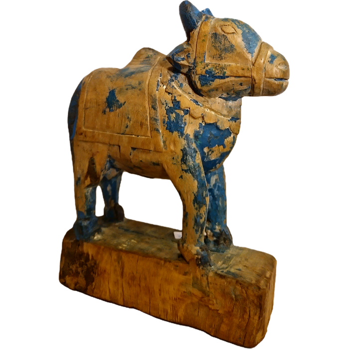 Original alte Nandi Kuh