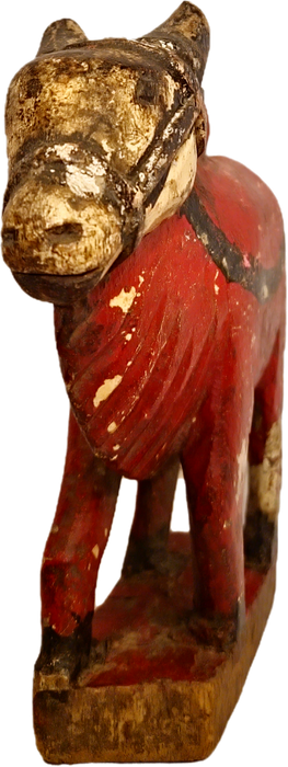 Original alte Nandi Kuh