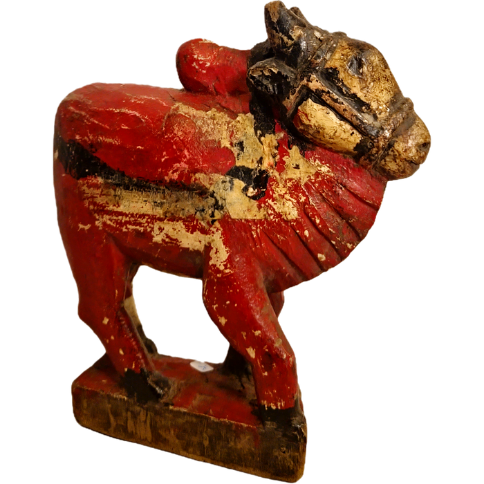 Original alte Nandi Kuh