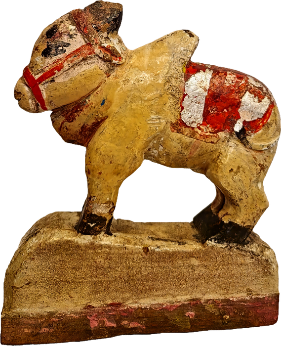 Original alte Nandi Kuh