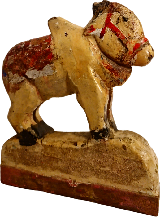 Original alte Nandi Kuh
