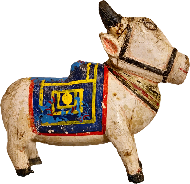Original alte Nandi Kuh