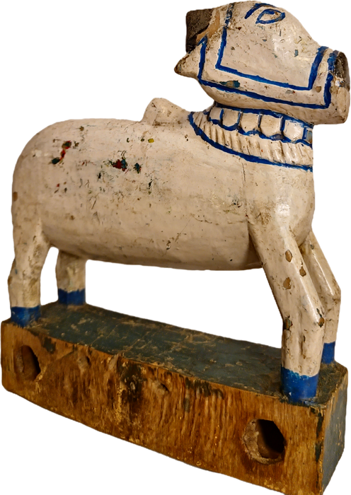 Original alte Nandi Kuh