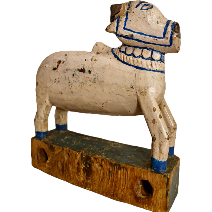 Original alte Nandi Kuh