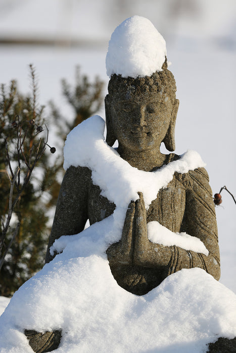 Buddha