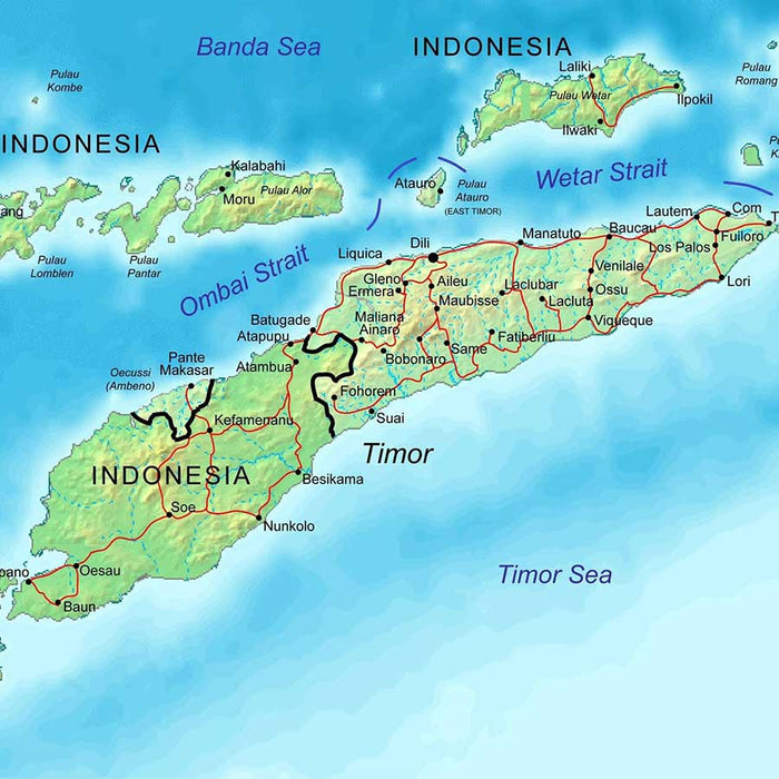 Krokodiltisch aus Timor