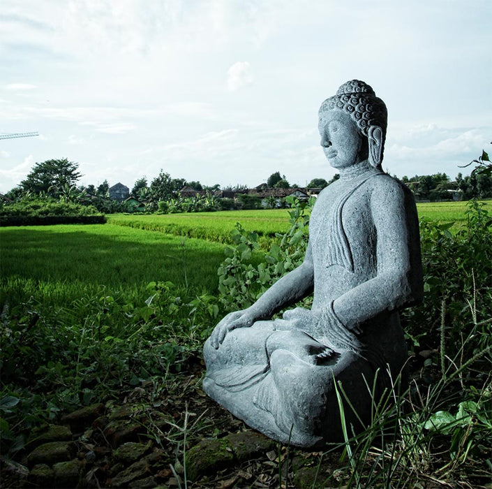 Buddha