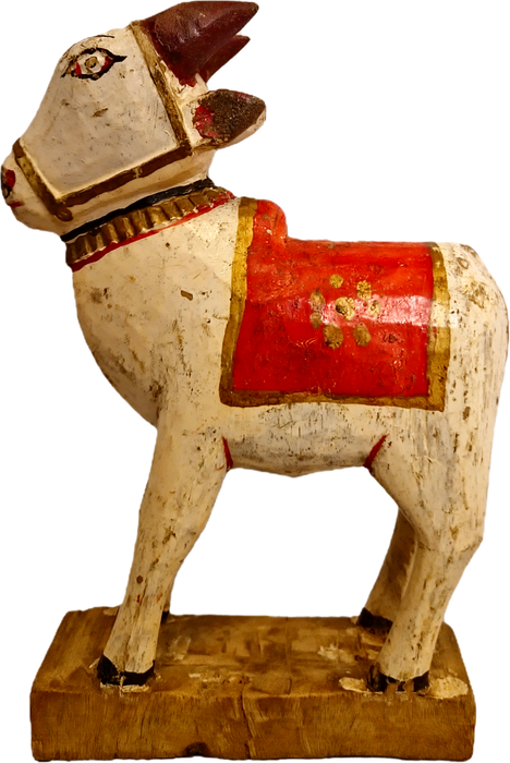 Original alte Nandi Kuh