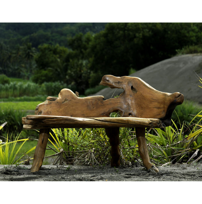 Lombok Wurzelbank